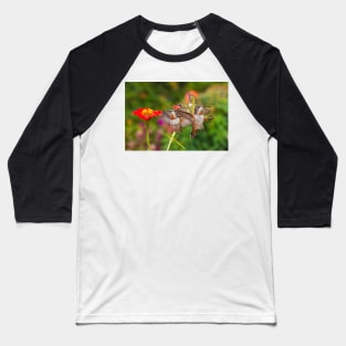 Guarding The Zinnia Baseball T-Shirt